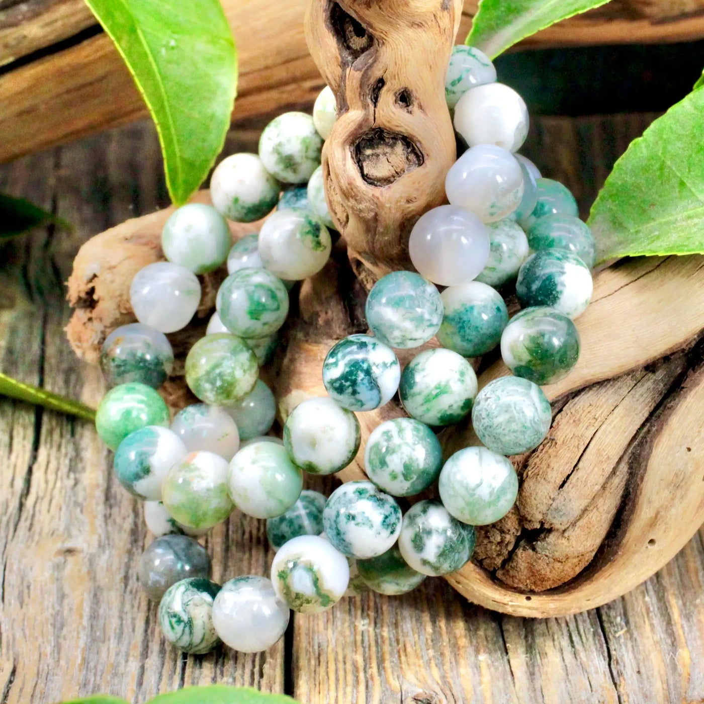 Tree Agate (Moss Agate) Bracelet (8mm) Natural Crystal - Crystals in Nature  LLC